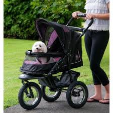 Owner pushing her dog in dog stroller 225 x 225