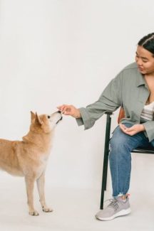Owner training her dog with treats 216 x 325