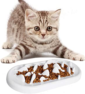 tabby Kitty with slow feeder 292 x 320