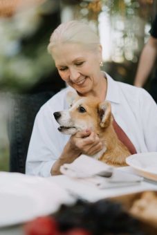 Dog, tan, on lady owner's lap 227 x 340