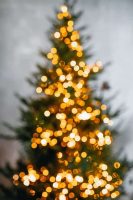 Christmas tree with white lights 133 x 200