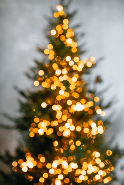 Christmas Tree with white gold lights 360 x 158