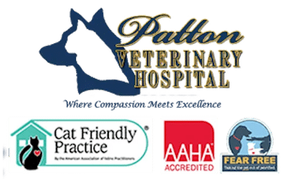 Patton Vet Hosp 404 x 257 best for POST DEER POO