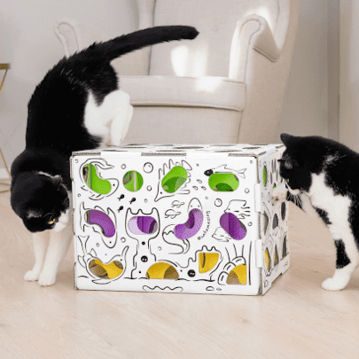Cat treat maze by catamazin 405 x 405 min