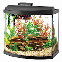 Aqueon bow front aquarium 206 x 206