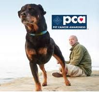 Blue Buffalo Foundation Cancer Research sign