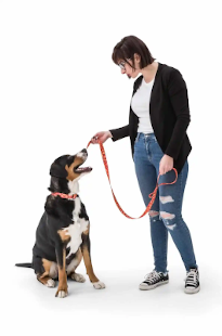 Owner and Rottweiler 205 x 310