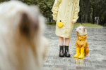 Fall rain gear for dogs 150 x 100
