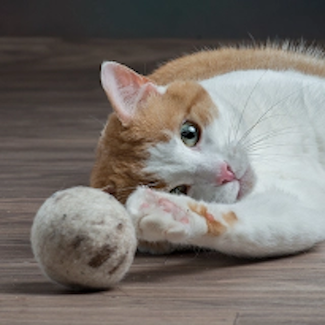 Cat toy felted chase ball 325 x 325