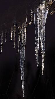 Silver thaw photo from Pixabay 190 x 340