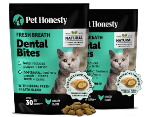 Cat dental bites by Pet Honesty 300 x 238